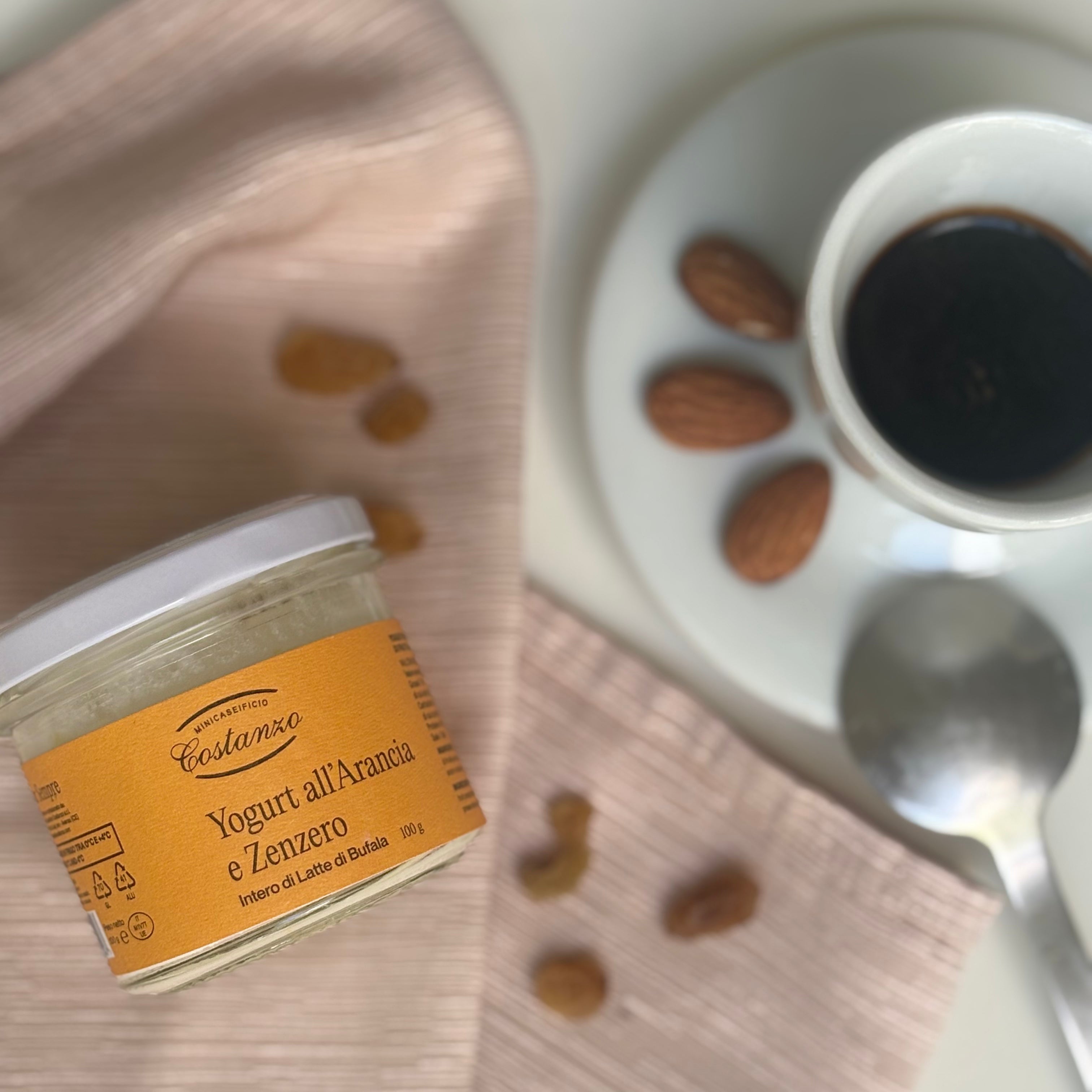 Yogurt all'Arancia e Zenzero Costanzo gr 100