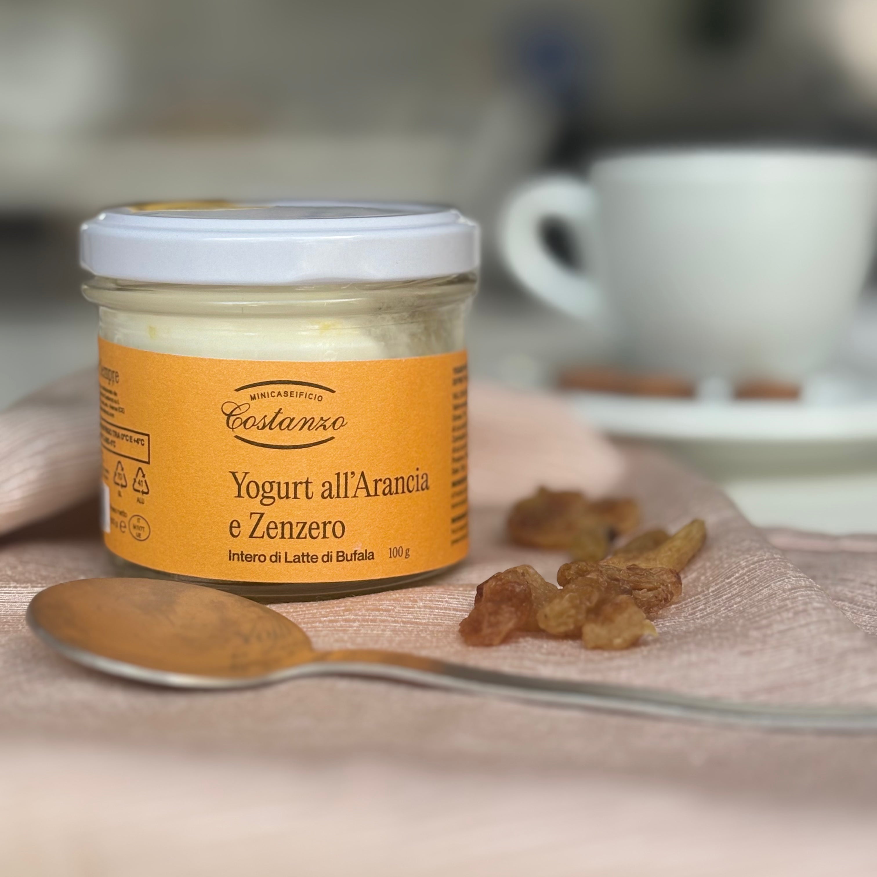 Yogurt all'Arancia e Zenzero Costanzo gr 100