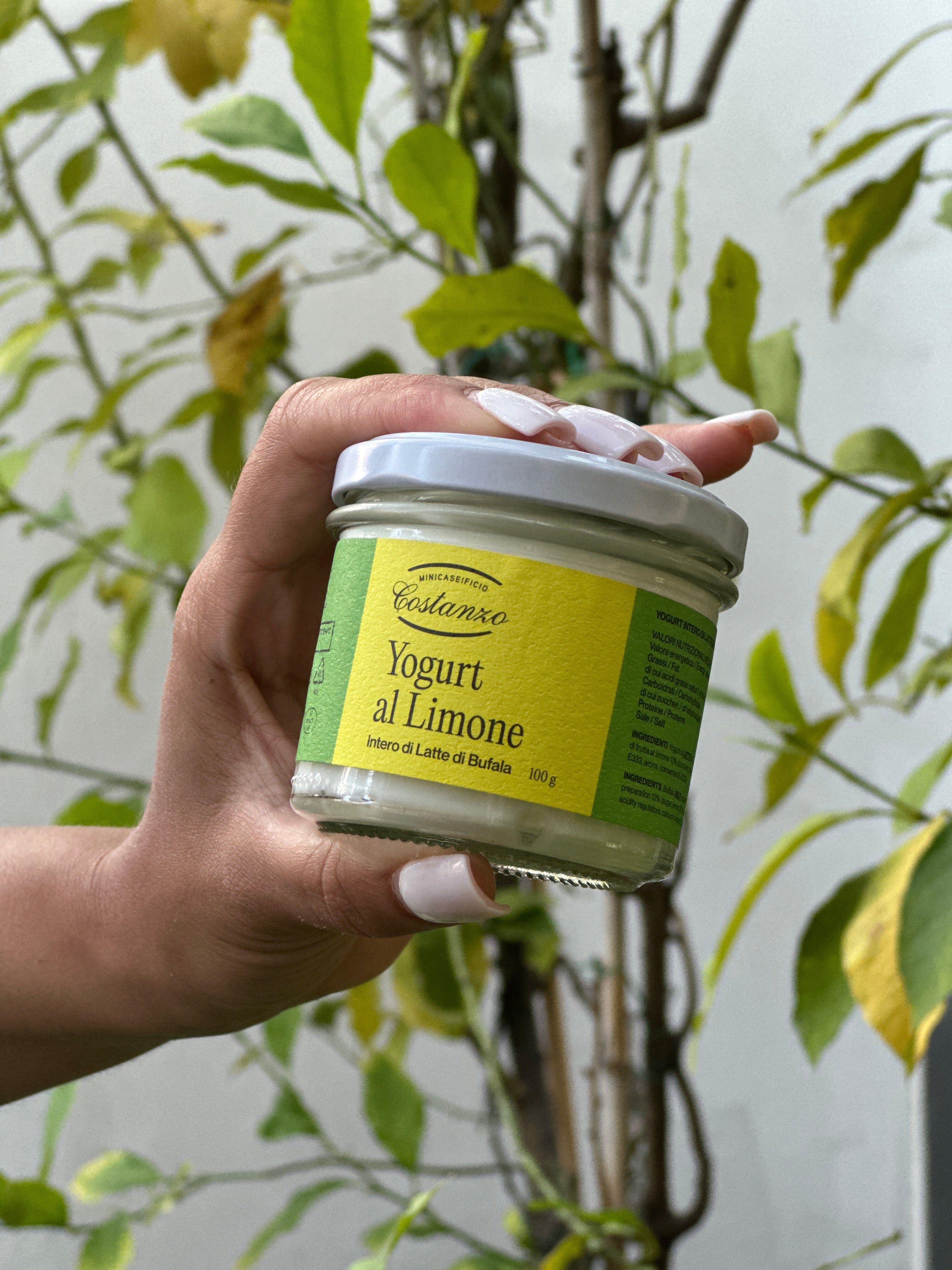 Yogurt a Limone Costanzo gr 100